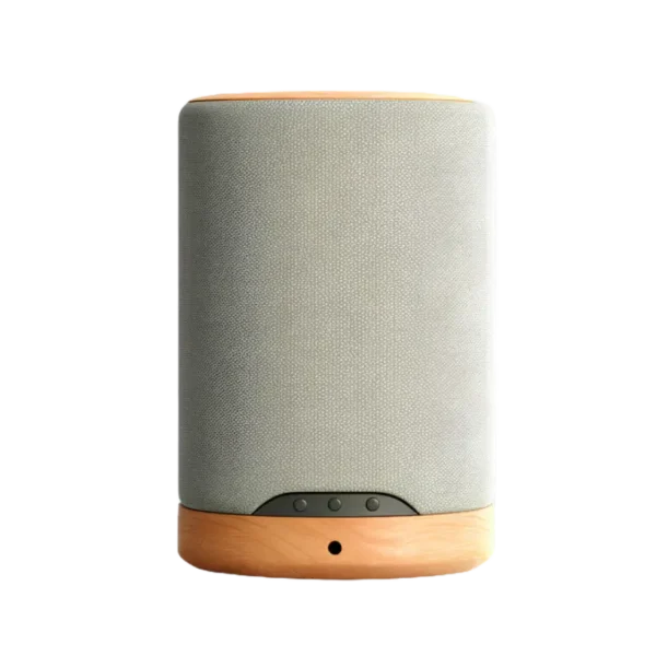 Aura Home Speaker Mini